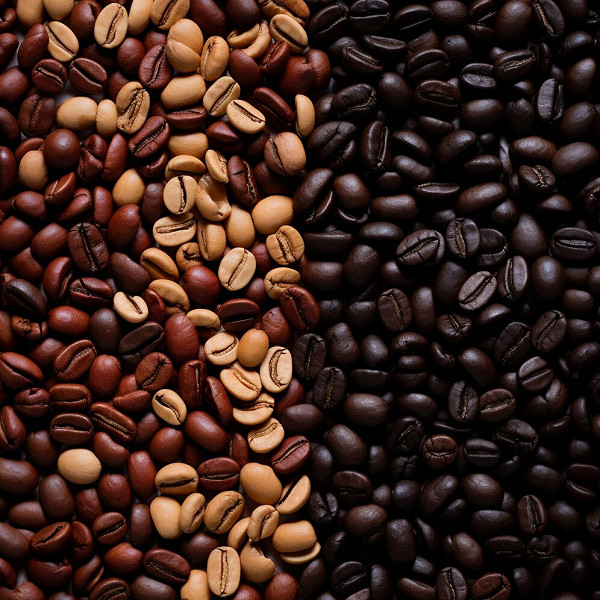 Види кавових зерен: арабіка, робуста та інші сорти