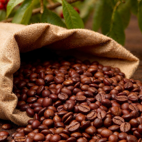 Як правильно зберігати зернову каву, щоб вона не втрачала аромат