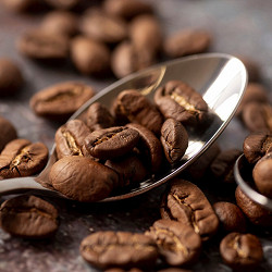 Арабіка vs Робуста: у чому різниця та яку обрати саме вам