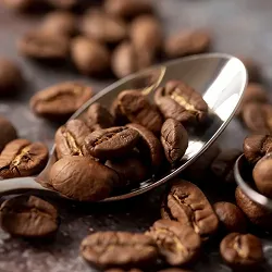 Арабіка vs Робуста: у чому різниця та яку обрати саме вам