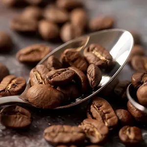 Арабіка vs Робуста: у чому різниця та яку обрати саме вам