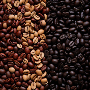 Види кавових зерен: арабіка, робуста та інші сорти